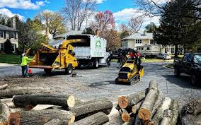 Reliable Bethlehem, PA Tree Removal and Landscaping Services Solutions